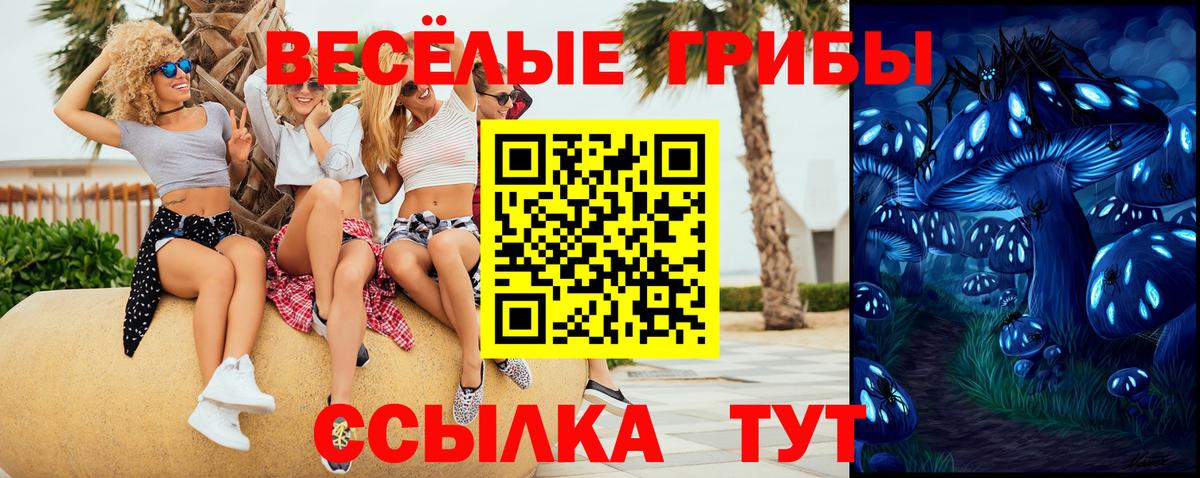 Псилоцибиновые грибы мухоморы  Вход с VPN  Ивантеевка 